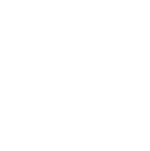 CiCoSys Logo