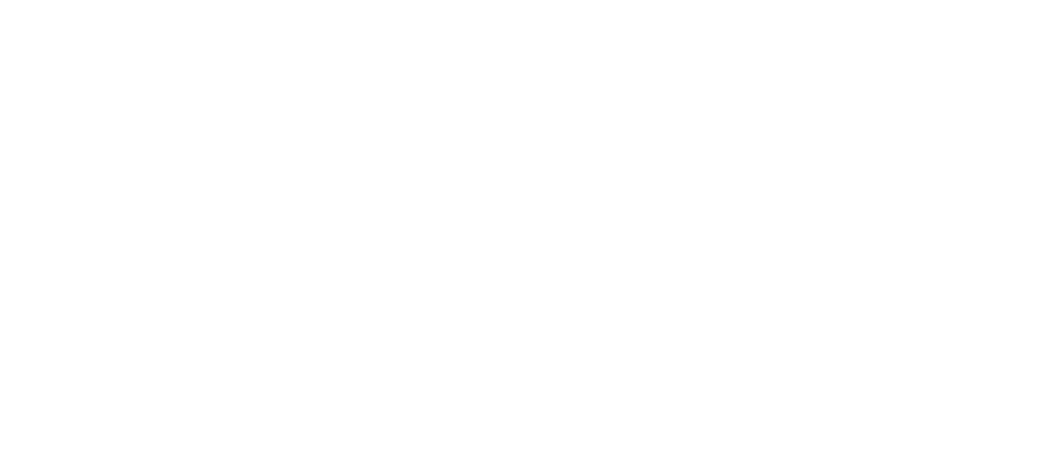 CiCoSys Auth Logo